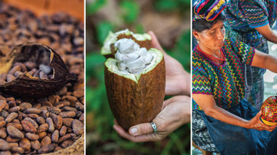 Guatemalan chocolate