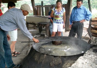 Sugar mills Guatemala