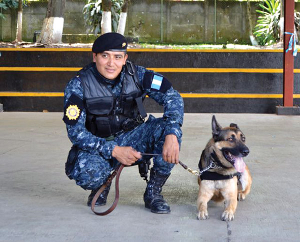 sniffer dogs Guatemala
