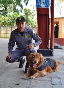 sniffer dogs Guatemala