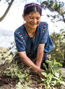 Community Garden Guatemala