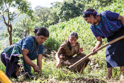 Community Garden Guatemala