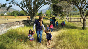 Antigua Green School