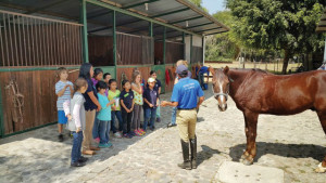 Antigua Green School