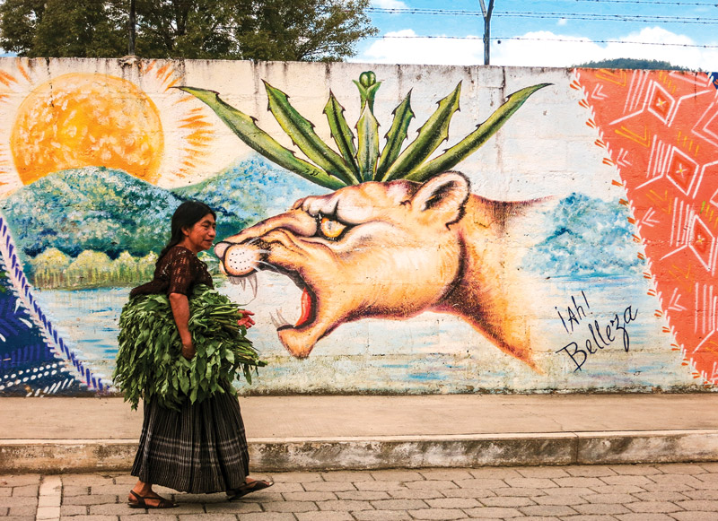 Highlands of Guatemala