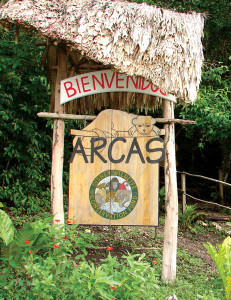 arcas