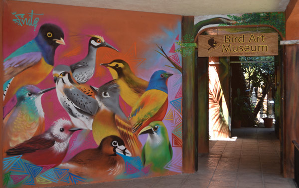 Bird Art Museum